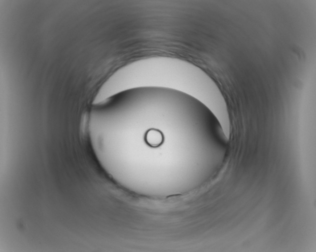 X0000113900041200910151406