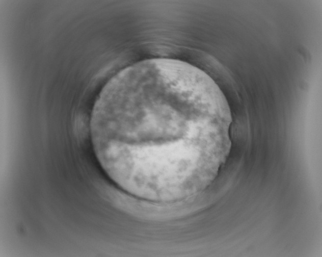 X0000113900043200910151406