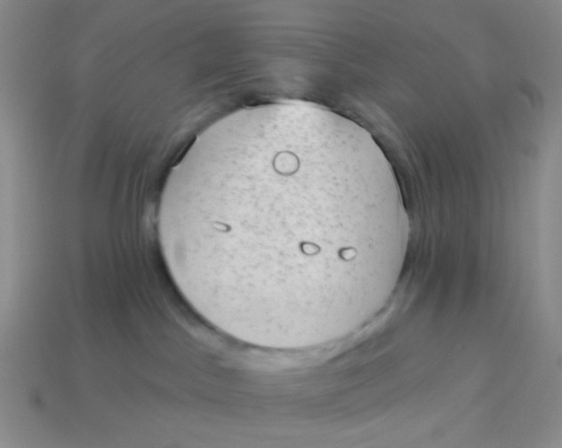 X0000113900045200910151406