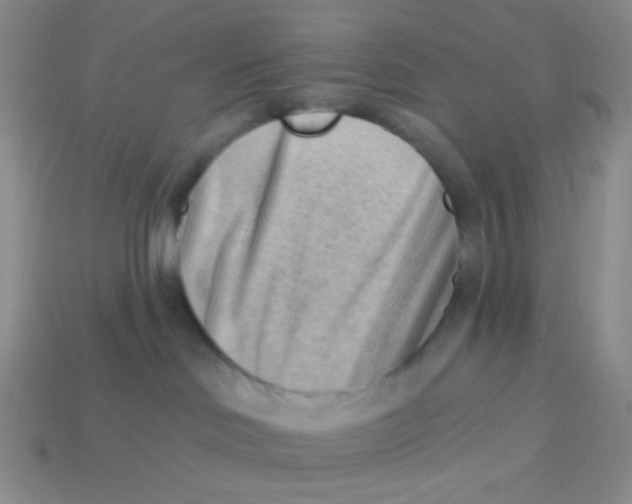 X0000113900046200910151406