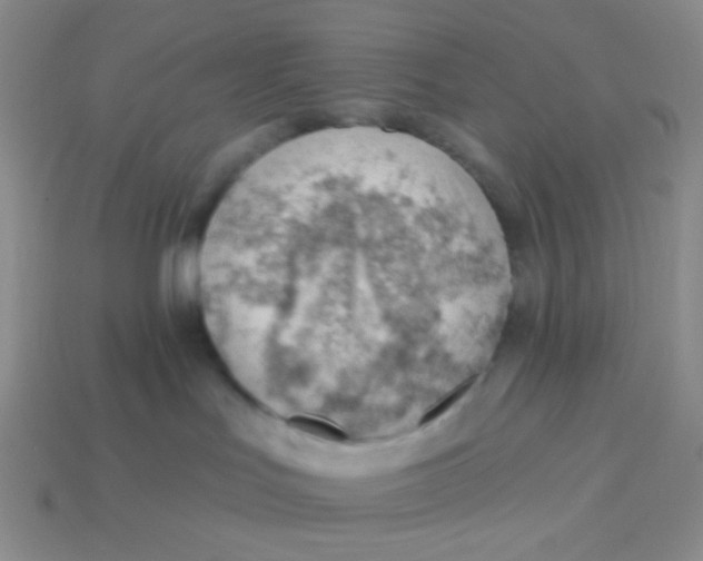 X0000113900047200910151406