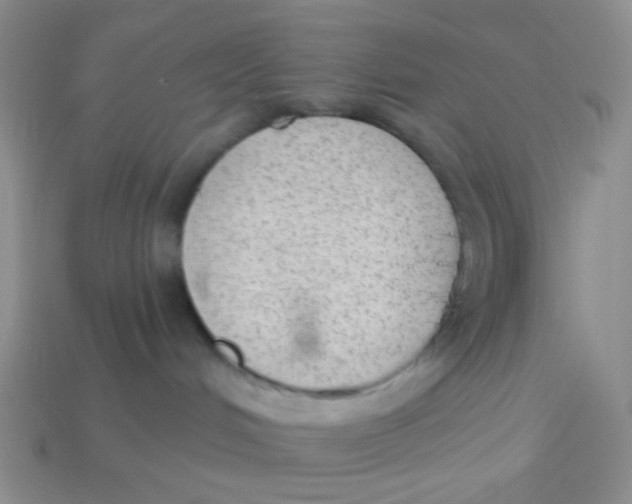 X0000113900048200910151406