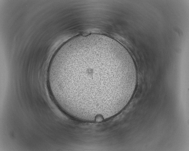 X0000113900049200910151405