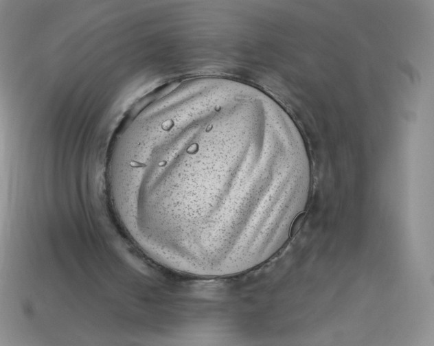 X0000113900050200910151405