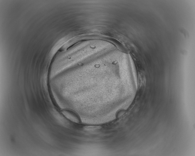 X0000113900051200910151405