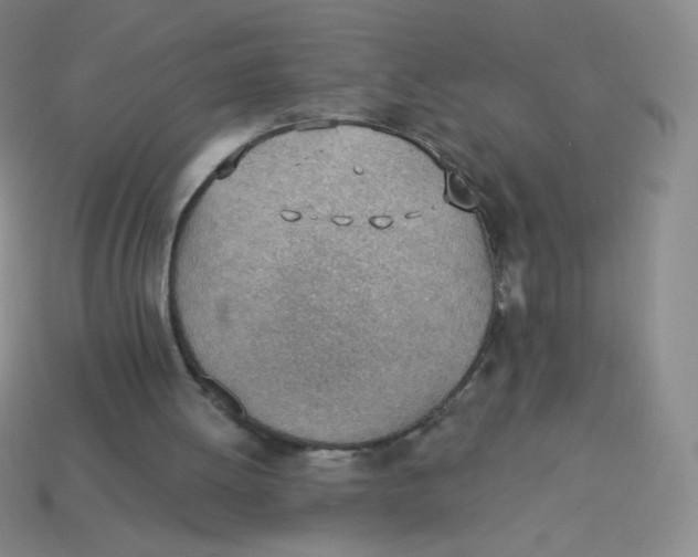 X0000113900052200910151405