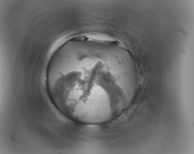 X0000113900053200910151405