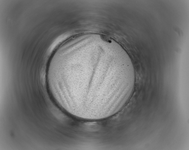 X0000113900054200910151405