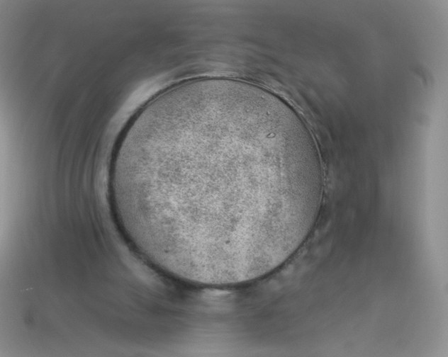 X0000113900055200910151405