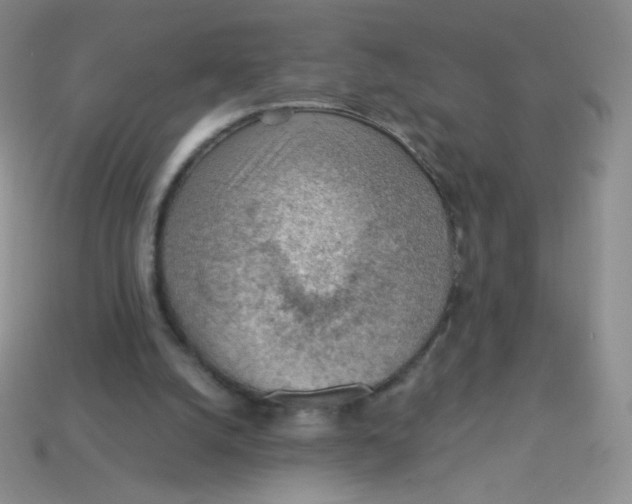 X0000113900056200910151405