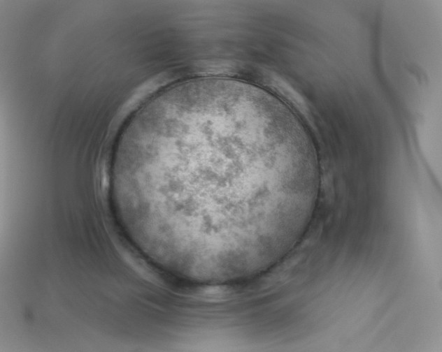 X0000113900059200910151405