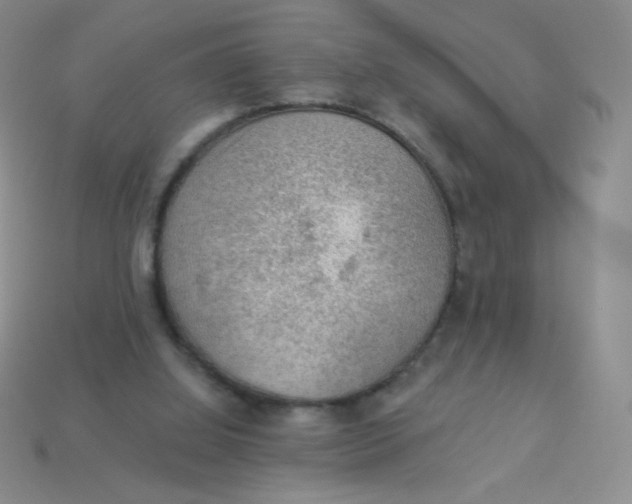 X0000113900060200910151405