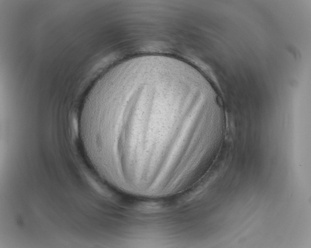 X0000113900061200910151405