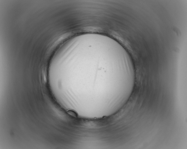 X0000113900062200910151405