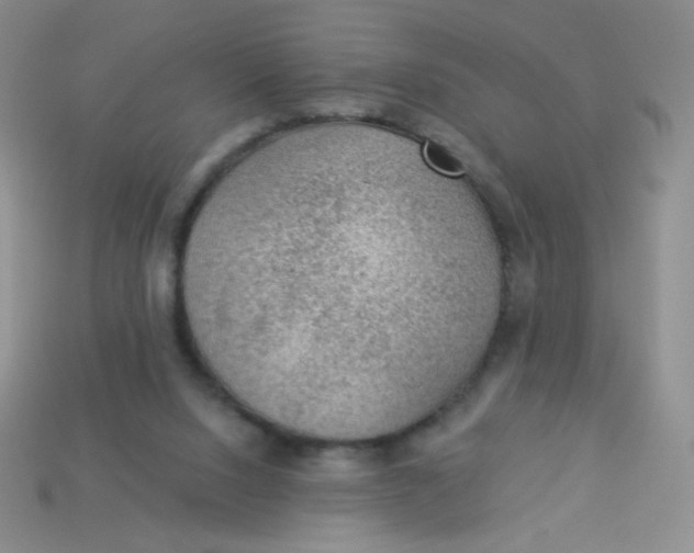 X0000113900064200910151405