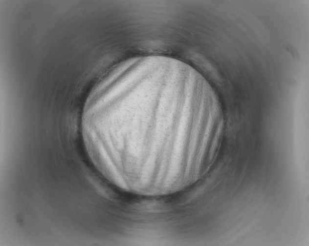 X0000113900065200910151405