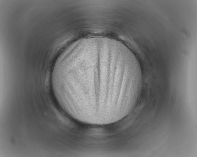 X0000113900066200910151405