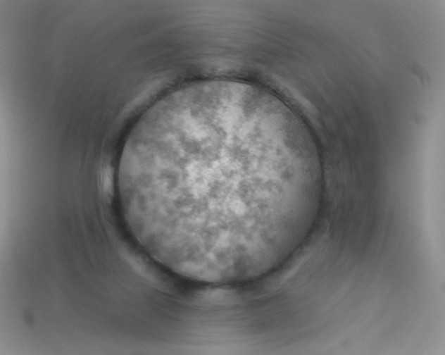 X0000113900067200910151405