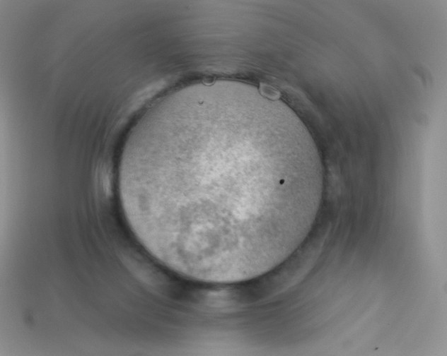 X0000113900068200910151405