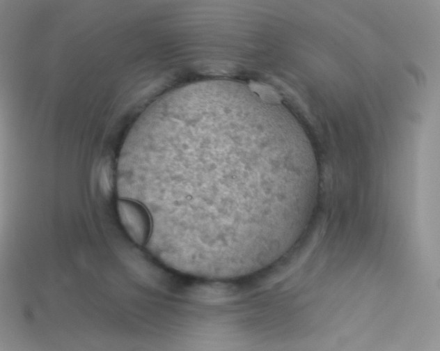 X0000113900069200910151405