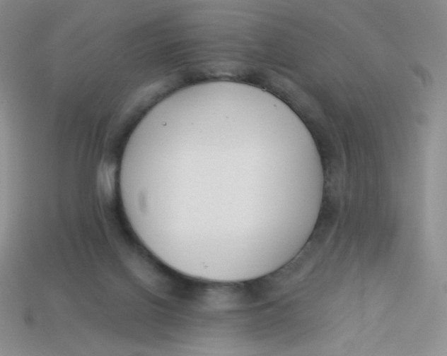 X0000113900070200910151405