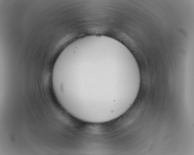 X0000113900071200910151405