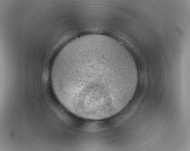 X0000113900072200910151405