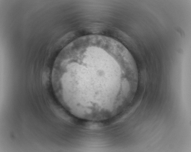 X0000113900073200910151405