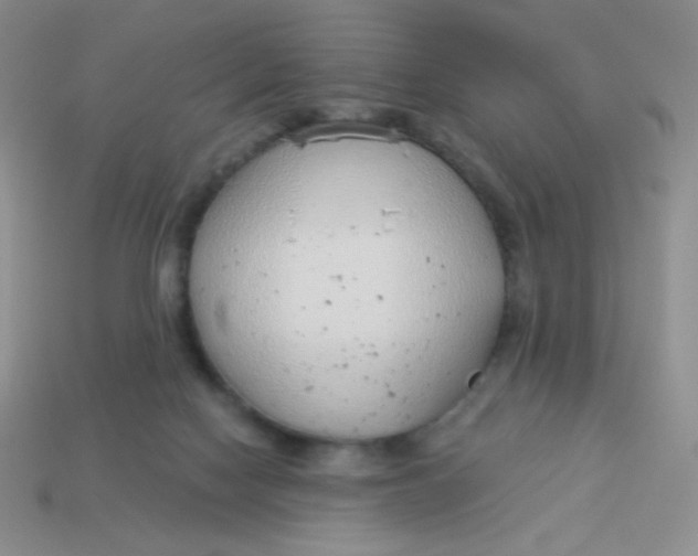 X0000113900074200910151405