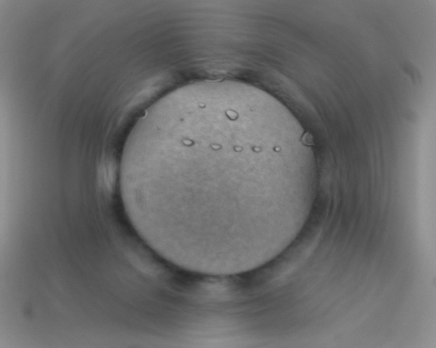 X0000113900076200910151405