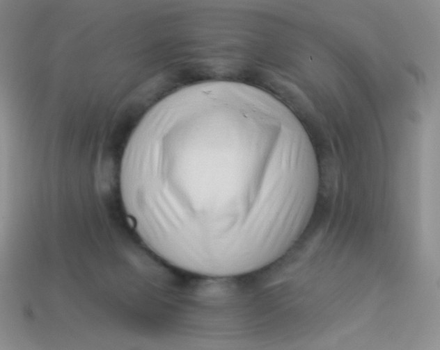 X0000113900077200910151405