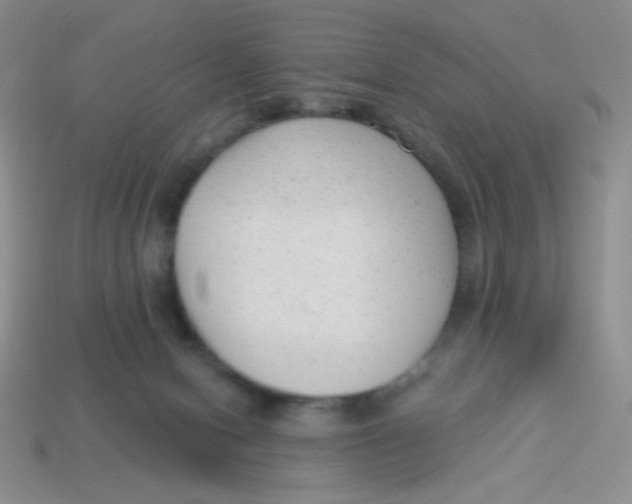 X0000113900078200910151405