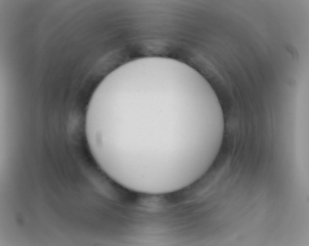 X0000113900079200910151405