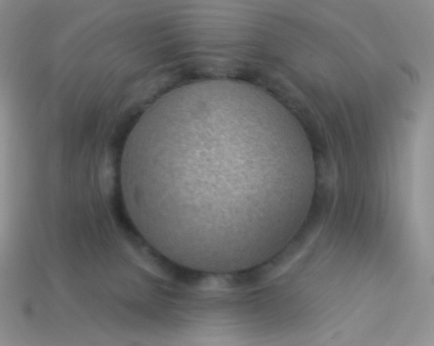 X0000113900080200910151405