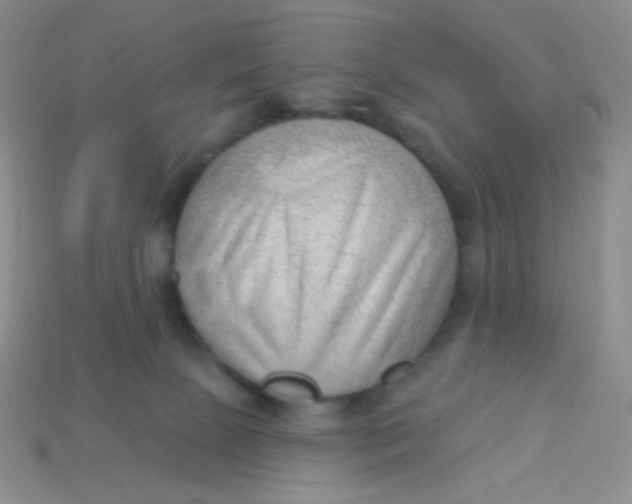 X0000113900081200910151405