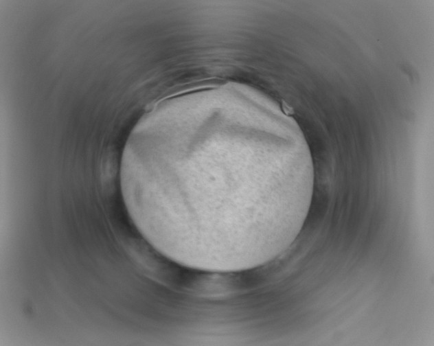 X0000113900082200910151405