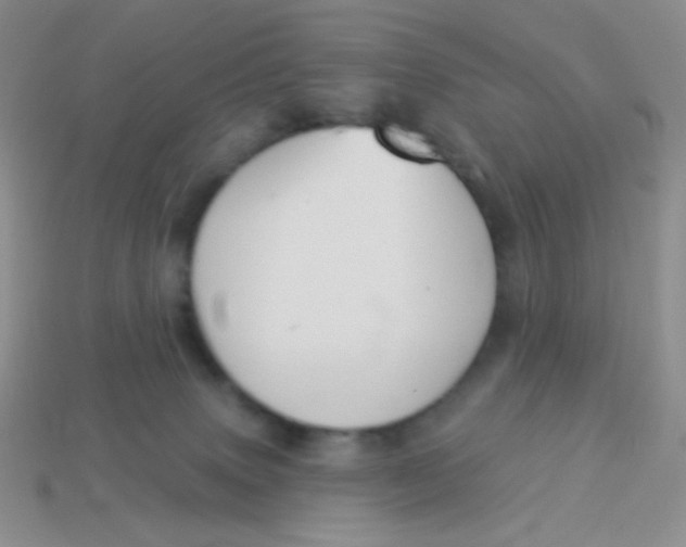 X0000113900083200910151405