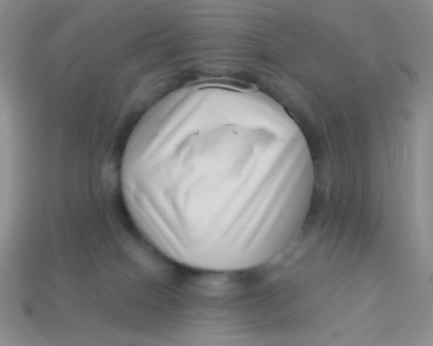 X0000113900086200910151405