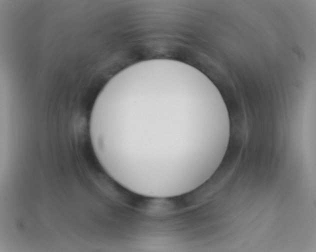 X0000113900087200910151405