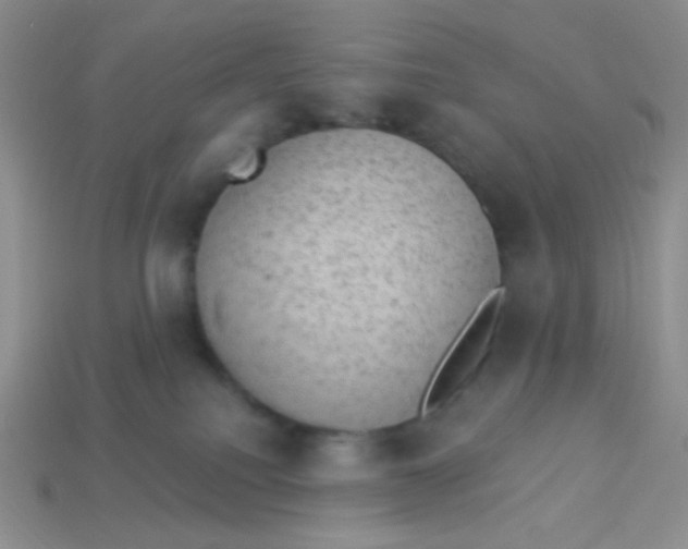 X0000113900088200910151405