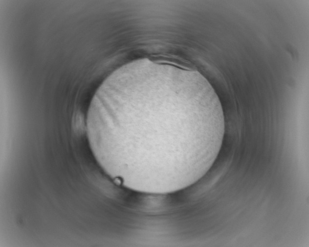 X0000113900089200910151406