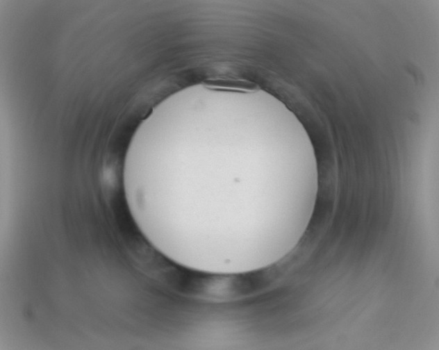 X0000113900090200910151406