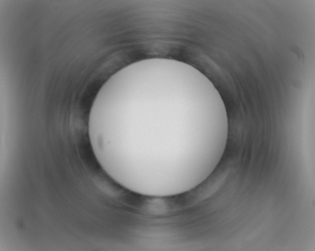 X0000113900091200910151406