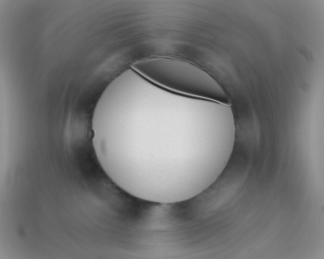 X0000113900092200910151406