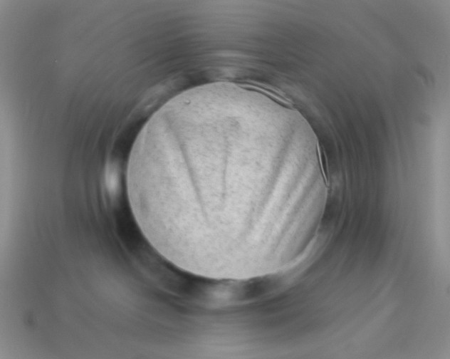 X0000113900094200910151406