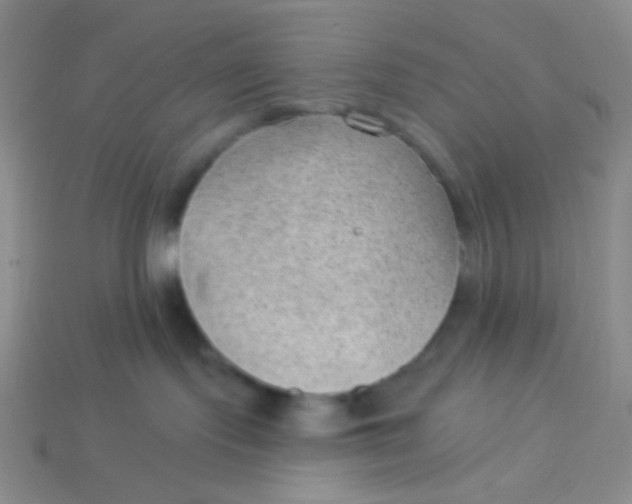 X0000113900095200910151406