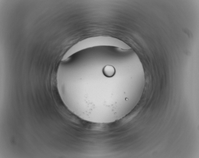 X0000113900096200910151406