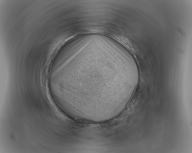 X0000113900097200910151405