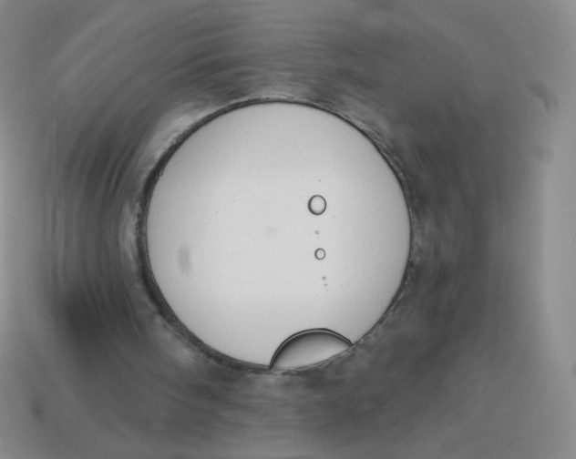 X0000113900098200910151405