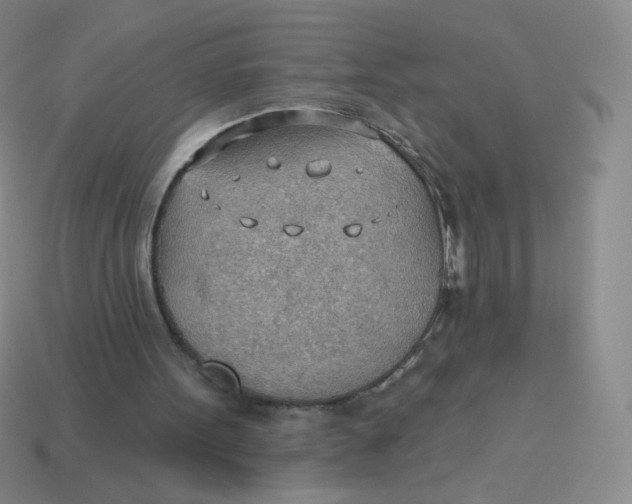 X0000113900099200910151405